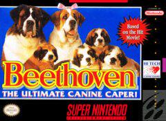 Beethoven - (LS) (Super Nintendo)