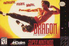 Dragon: The Bruce Lee Story - (LS) (Super Nintendo)